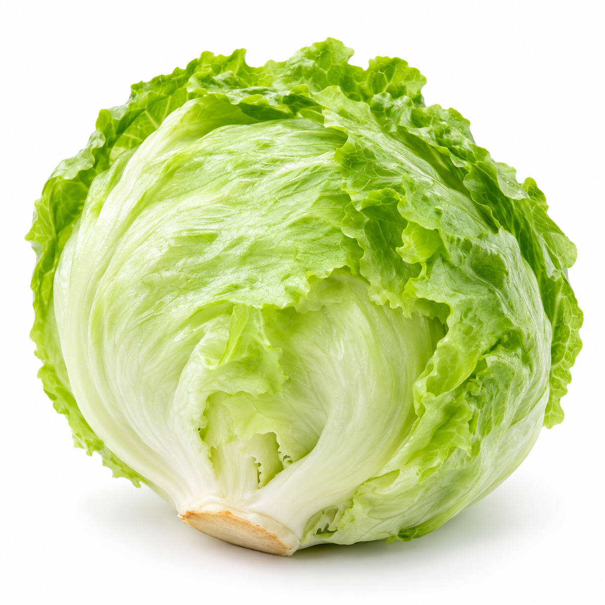 Fresh Iceberg Lettuce – Crisp & Crunchy