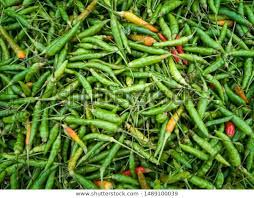 Thai Chilli Peppers - Per lb