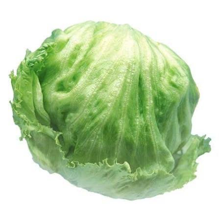 Lettuce Cello - ea