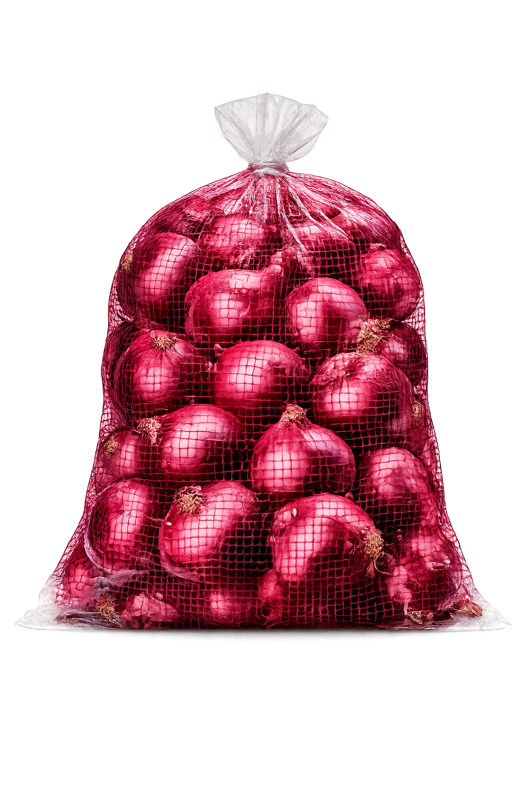 Fresh Red Onions 25lb Bag