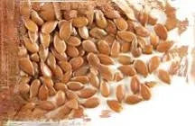 Alsee Seed 100g