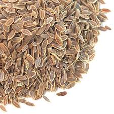 Dill Seeds 100g