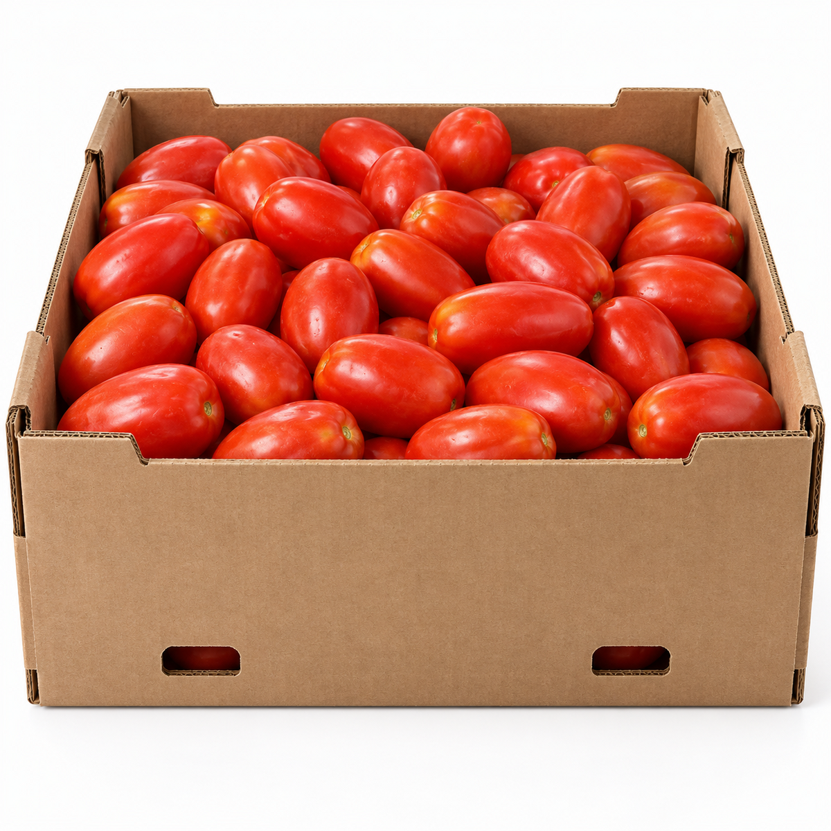 Roma Tomatoes – 25 LB Bulk Case | Fresh Wholesale Produce