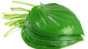 Paan Leaves - (6pieces)