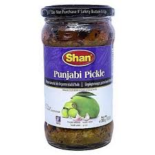 Shan Punjabi Pickle 300g