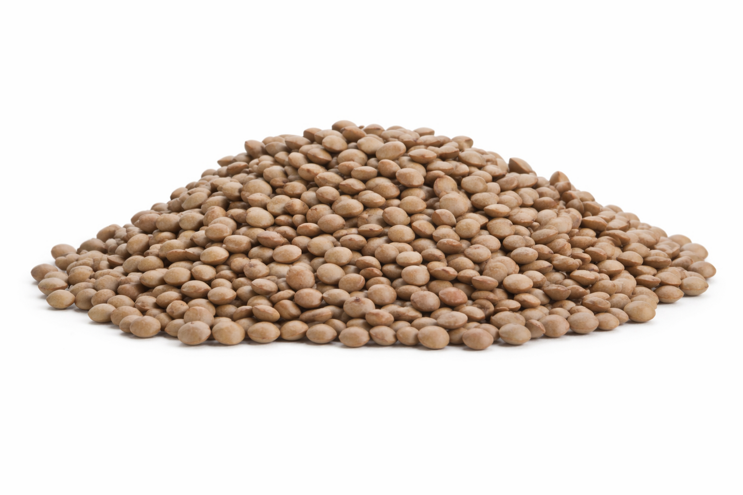 Brown (Masoor Whole) Lentil 3LB