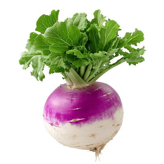 Fresh Turnip - Per lb