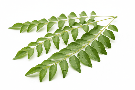 Fresh curry leaves