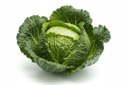 fresh cabbage