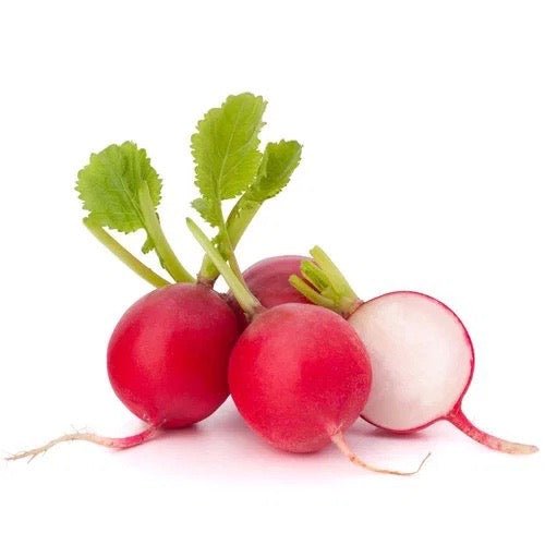 Fresh Red Radish Cello · 1 lb