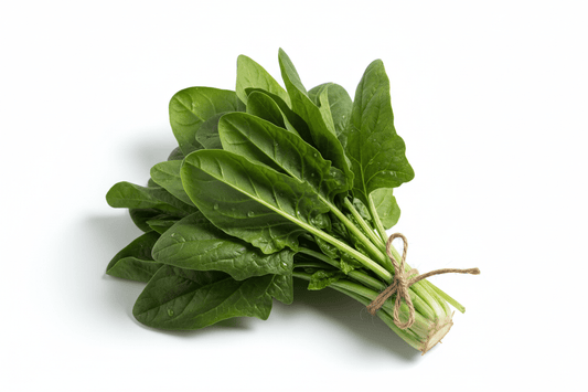 Fresh spinach bunch