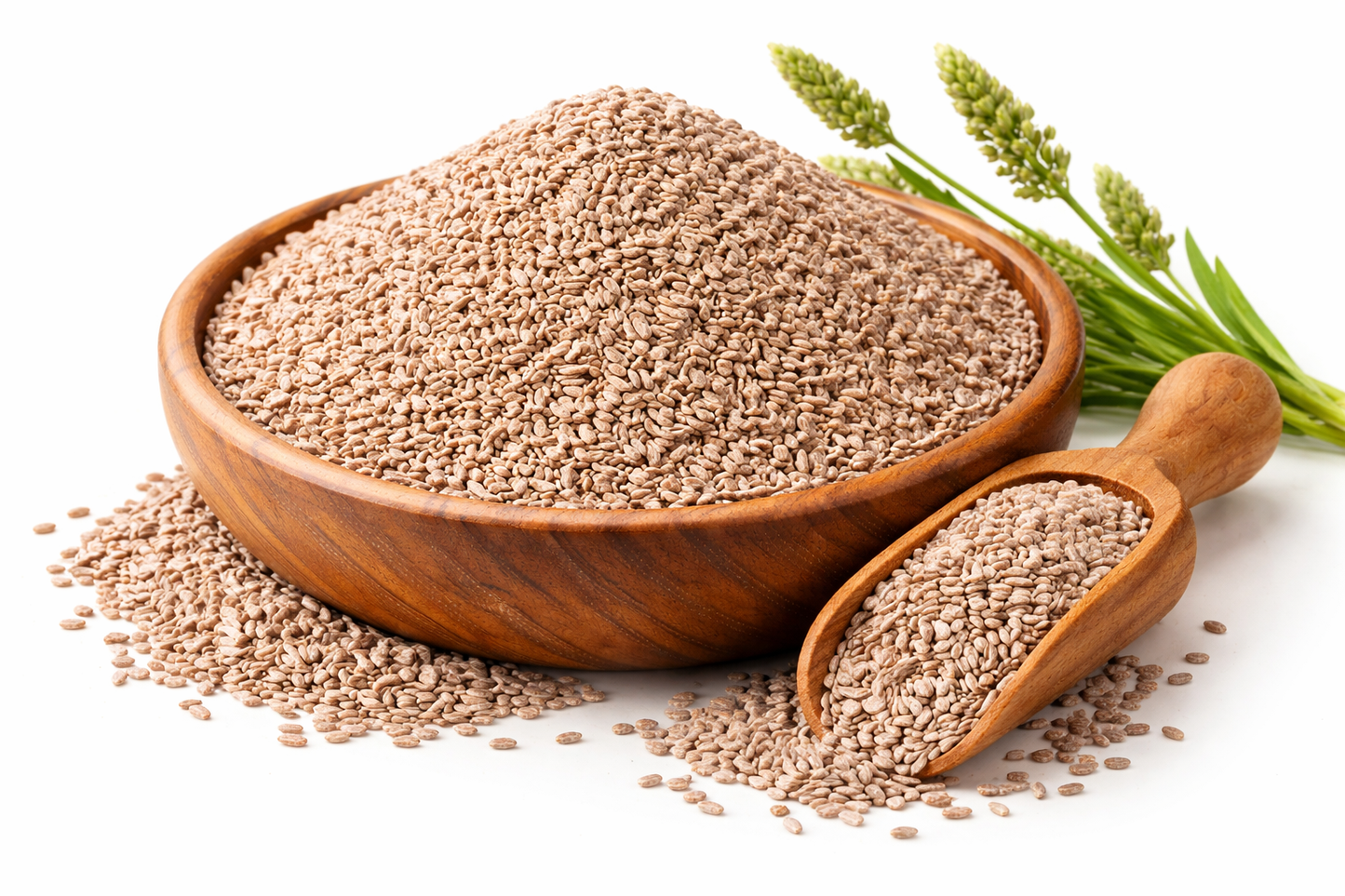 Isabgol Whole (100g)