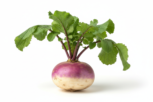 turnip