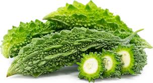 Indian Bitter Melon - Per lb