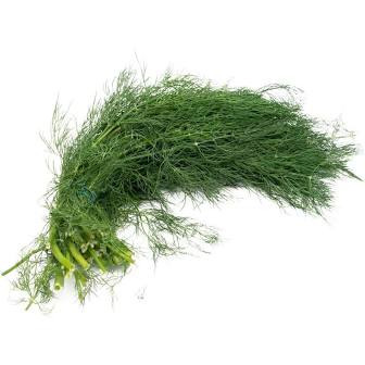 Fresh Dill Bunch